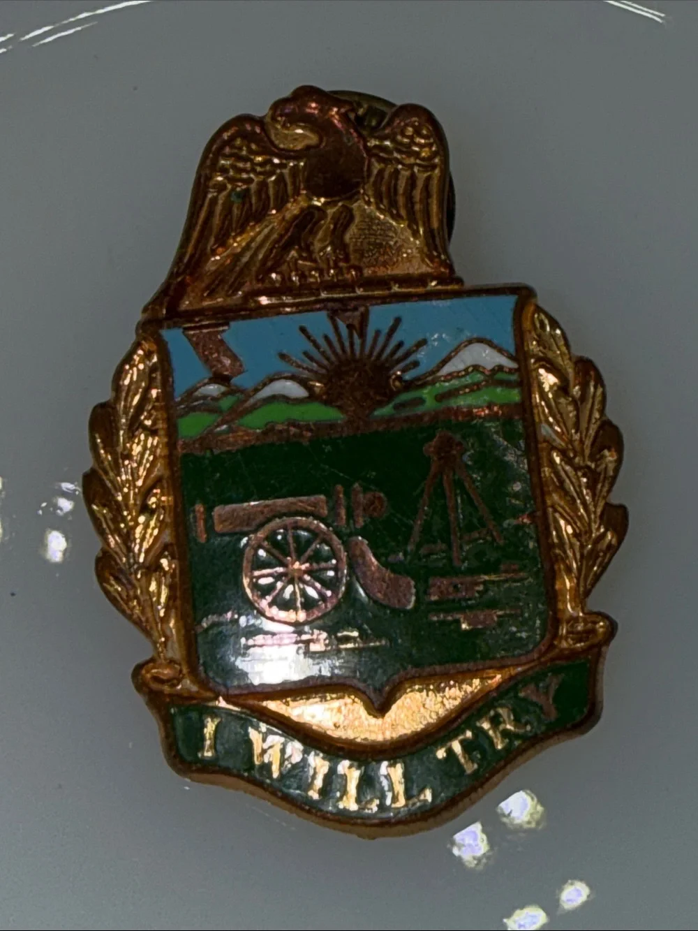 Vintage Enamel Military style Crest Pin eagle Green and Blue Shield enamel
